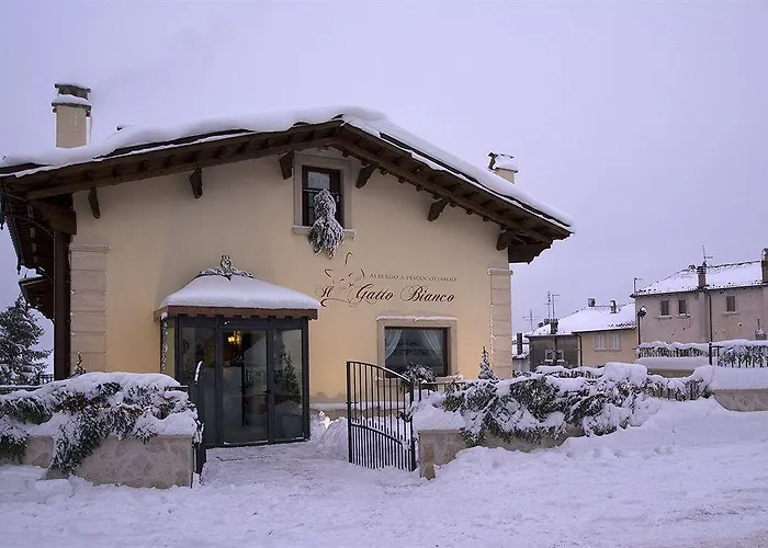 Il Gatto Bianco 3*